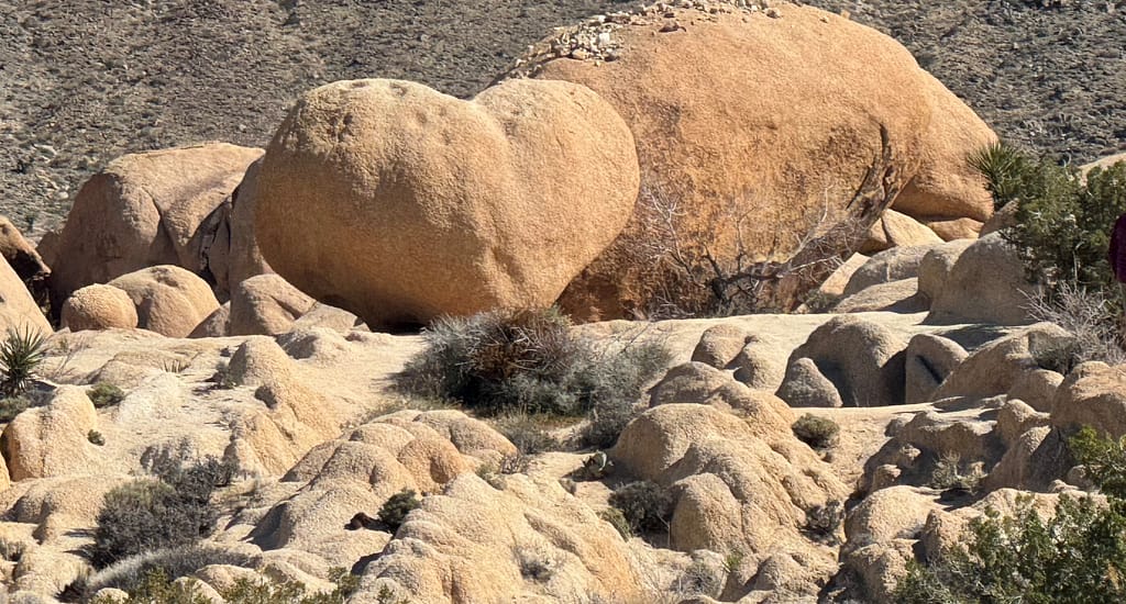 Heart Rock Joshua Tree National Park