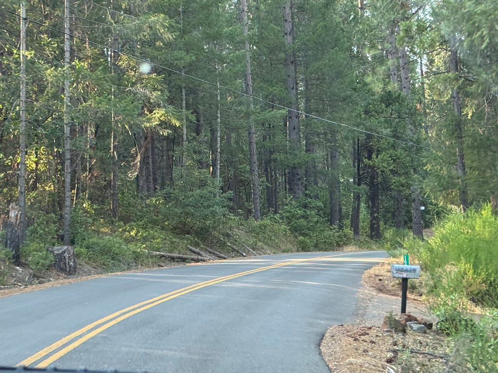 Road curving to the right. Some logs laying beside the road. Mailbox and driveway on the right. Tall pine trees lining the road.