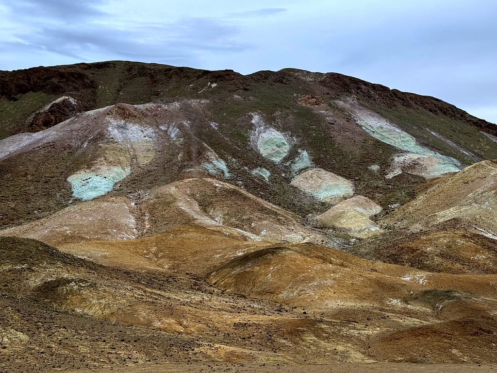 artist pallet green ,brown, tan,