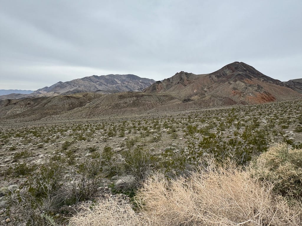 grassland, mountains