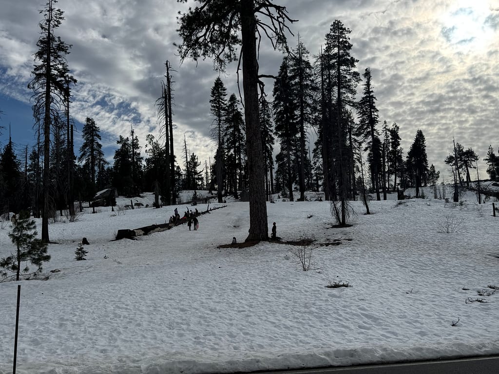 Snow kings cannon national park