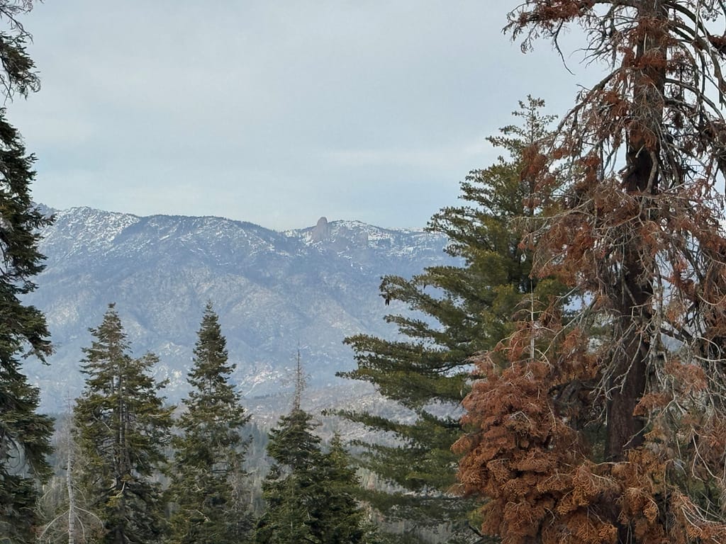 Mountian View - Kings Cannon national park
