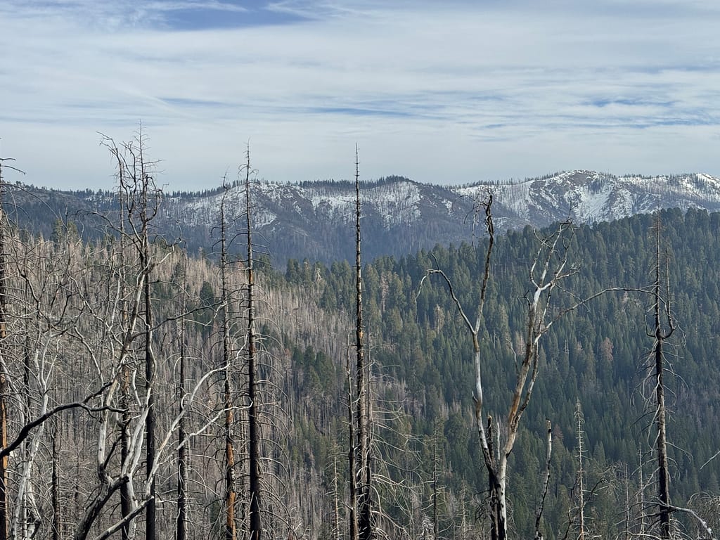 Mountain view - Kings cannon national park