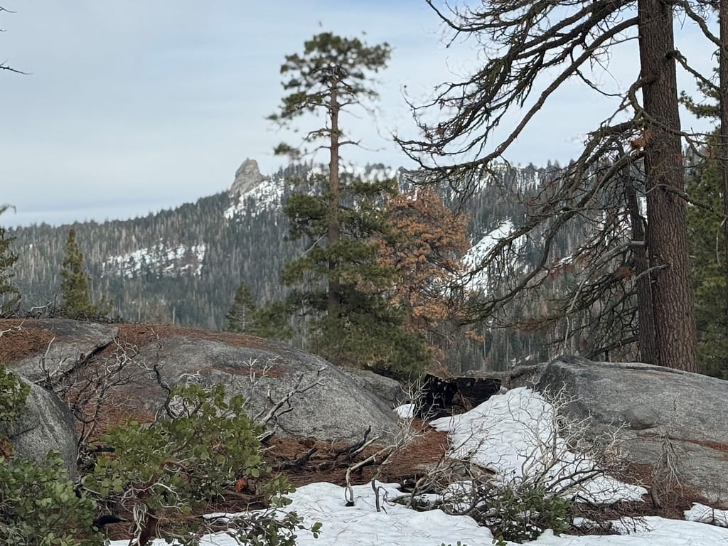 Kings Cannon national Park rocks mountains