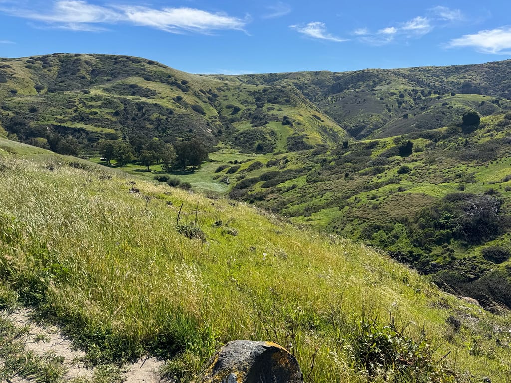 Trees, hills, mountains, Santa Cruz Island Channel Islands National Park