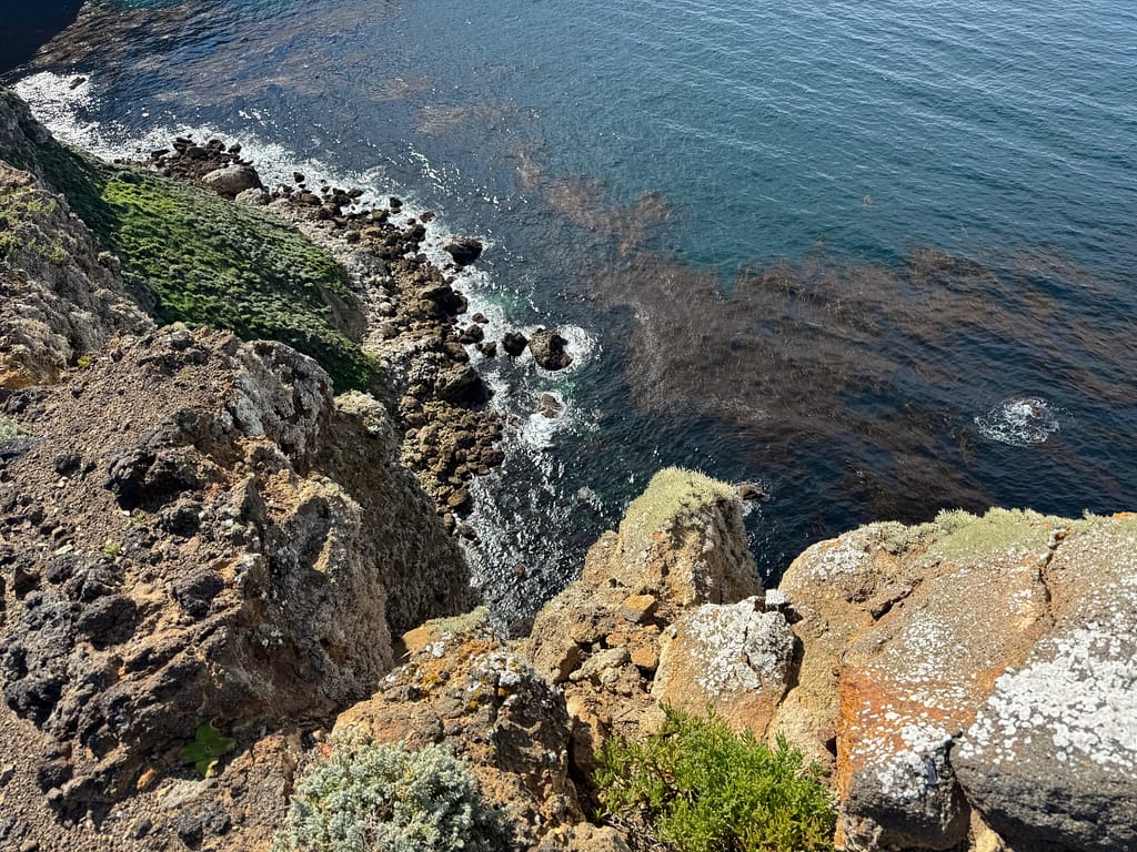 Looking down the cliff to see water and seaweed
