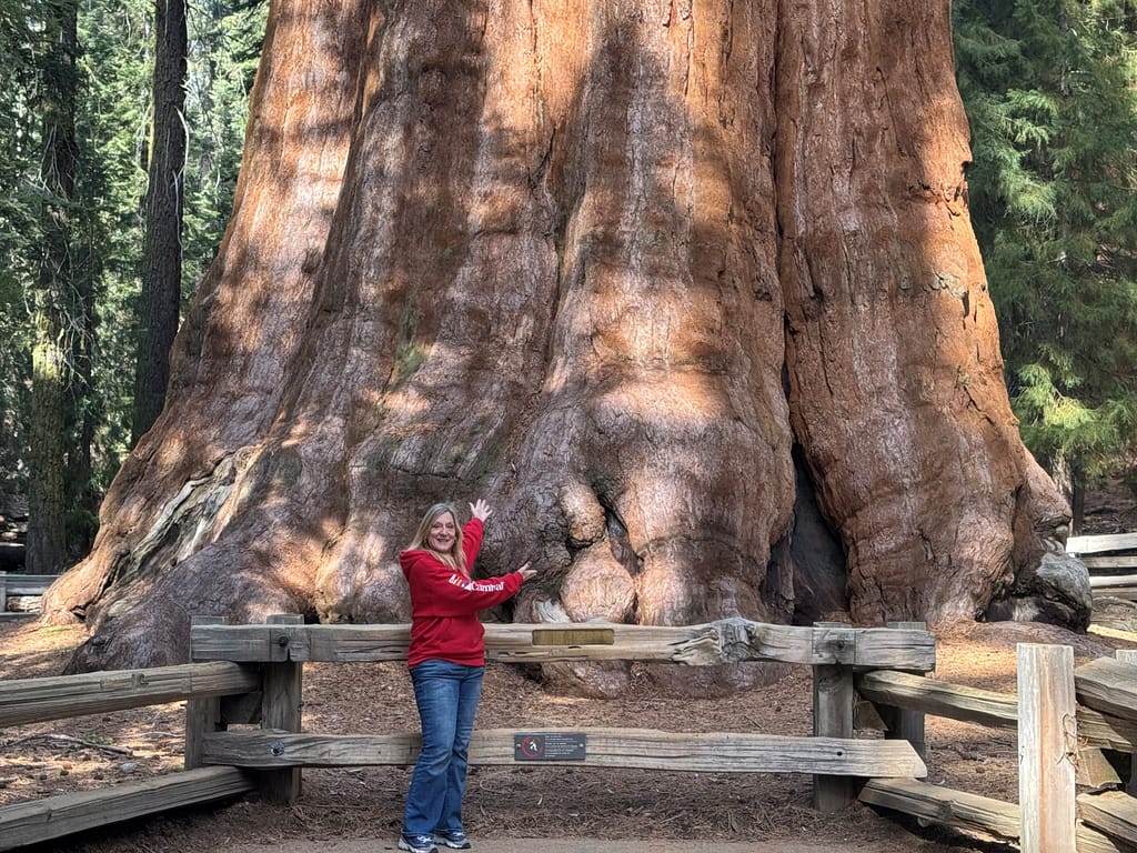General Sherman Tree, Sequoia national Park