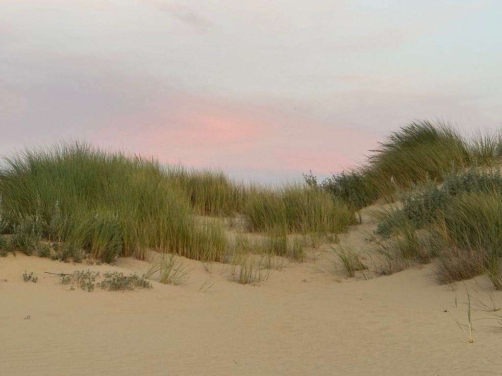 Sunrise at Pacific Dunes RV Resort
