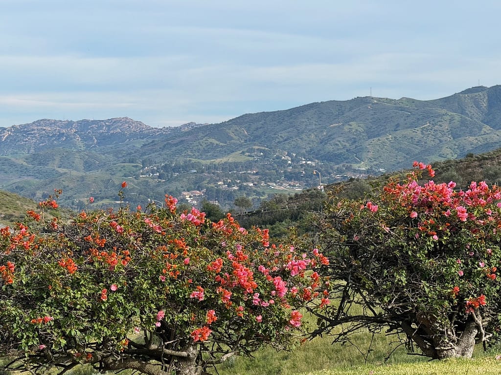 Looking over the valley from The Ronald Reagan Library