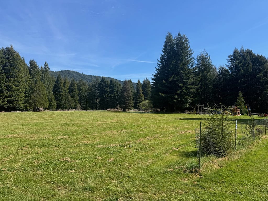 Field for Jesus rocks the redwoods in Stafford RV park