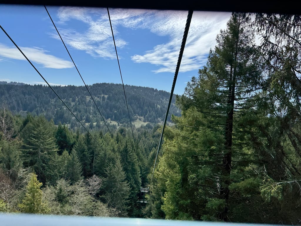 Gondola ride up mountain, Trees of Mystery California