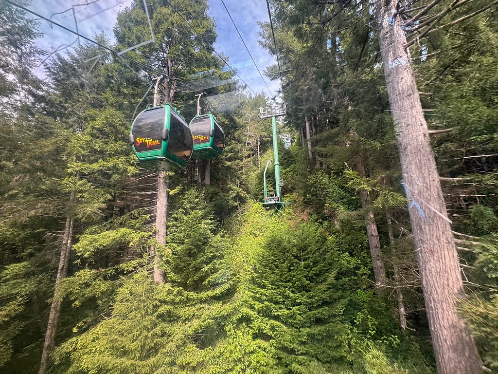 The gondolas, Trees of Mystery California