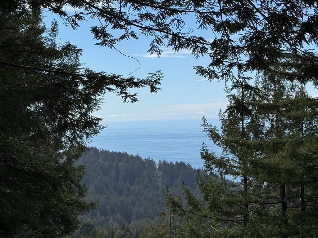 View from top of the mountain, Trees of Mystery California