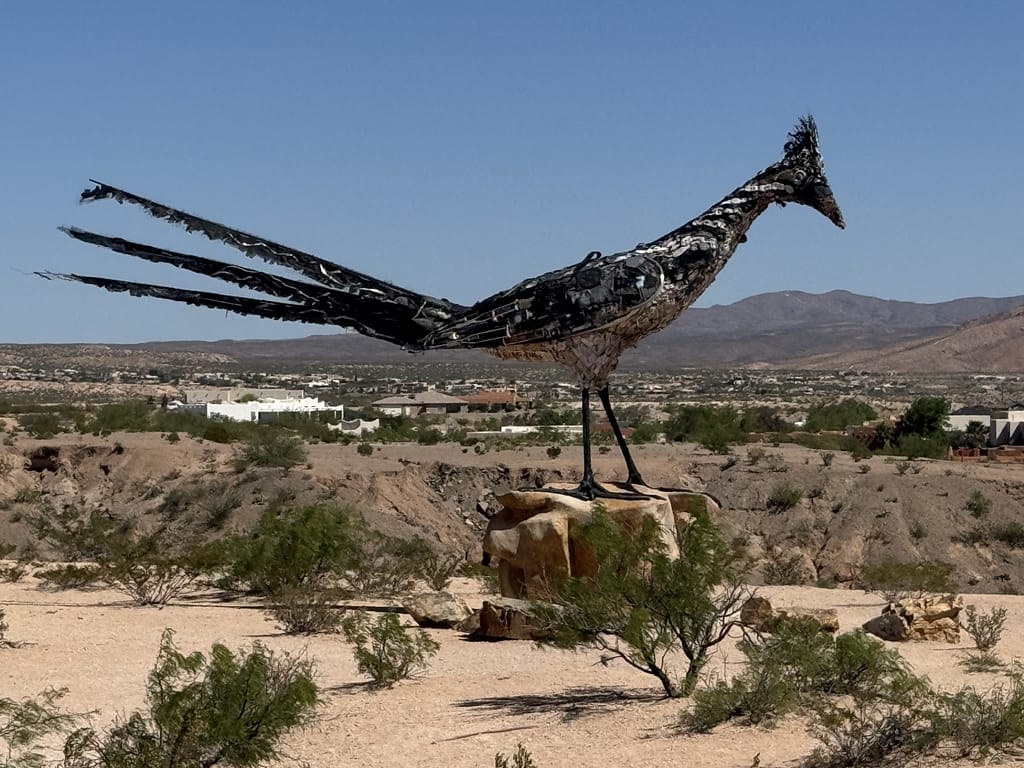 roadrunner El Paso Texas