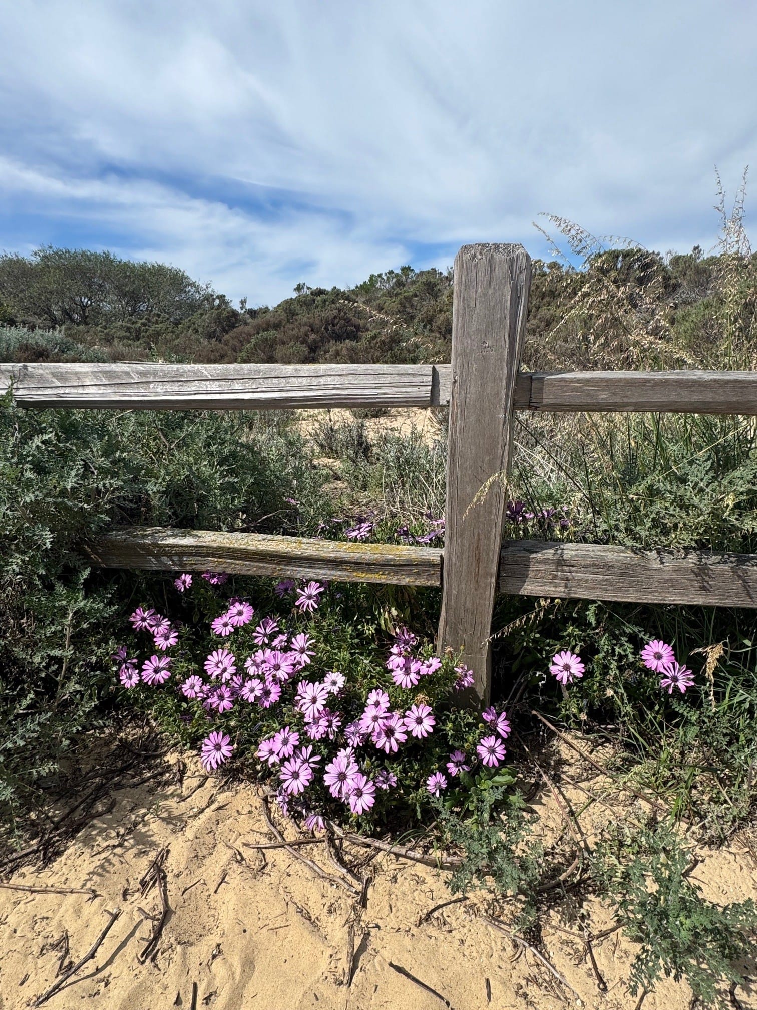Entrance to Dunes at Pacific Dunes Ranch RV Resort