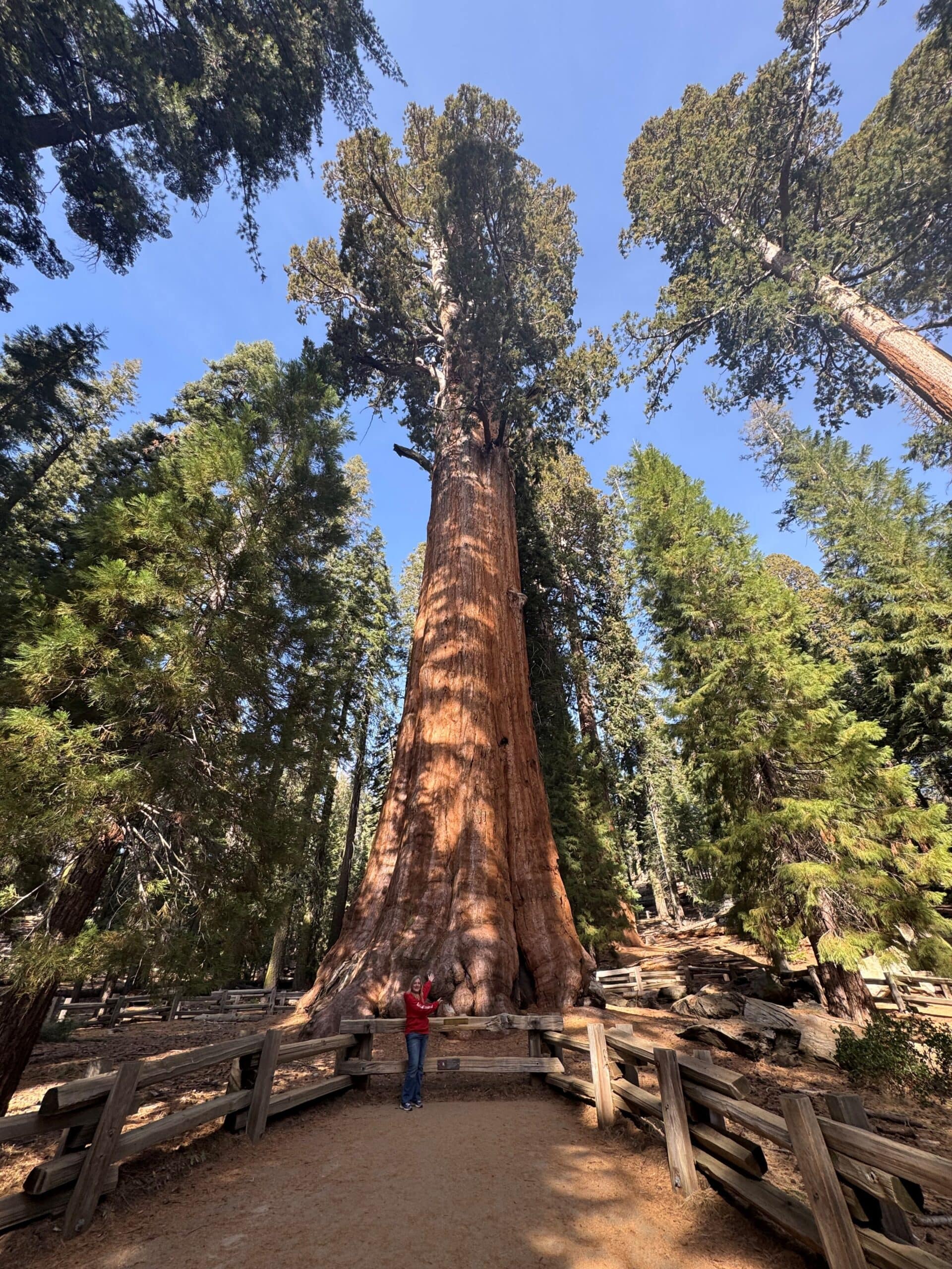 Kings Canyon National Park Deep & Wide