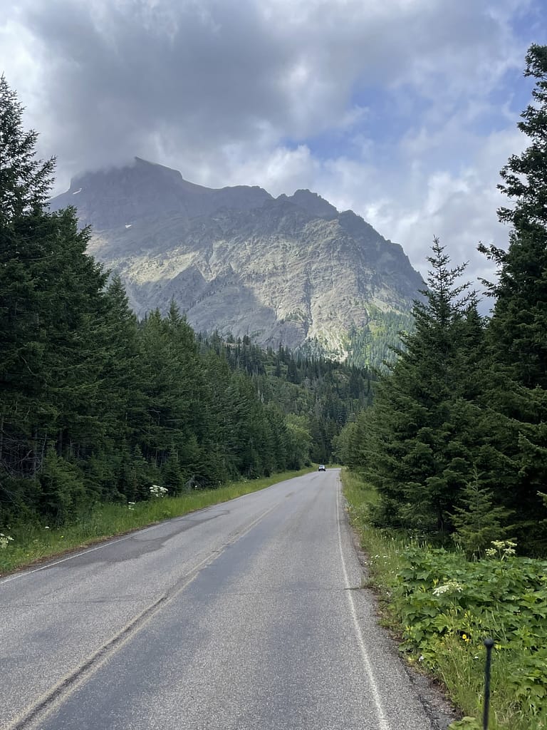 Glacier National Park, Lynne Road, Rocky Mountains, Evergreen trees