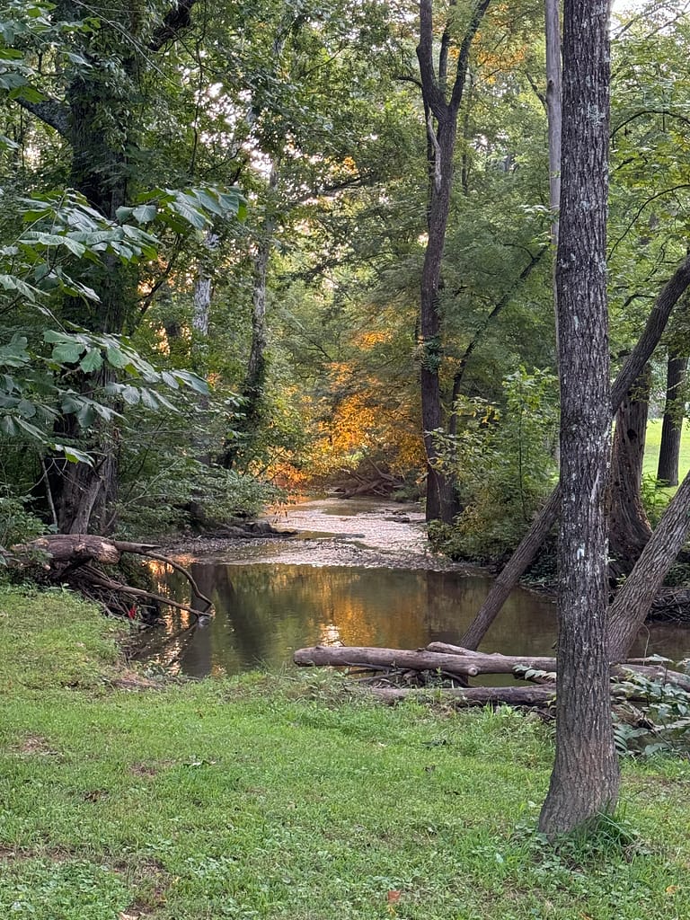 Winding calm stream, trees, autumn scene, Gatlinberg, TN