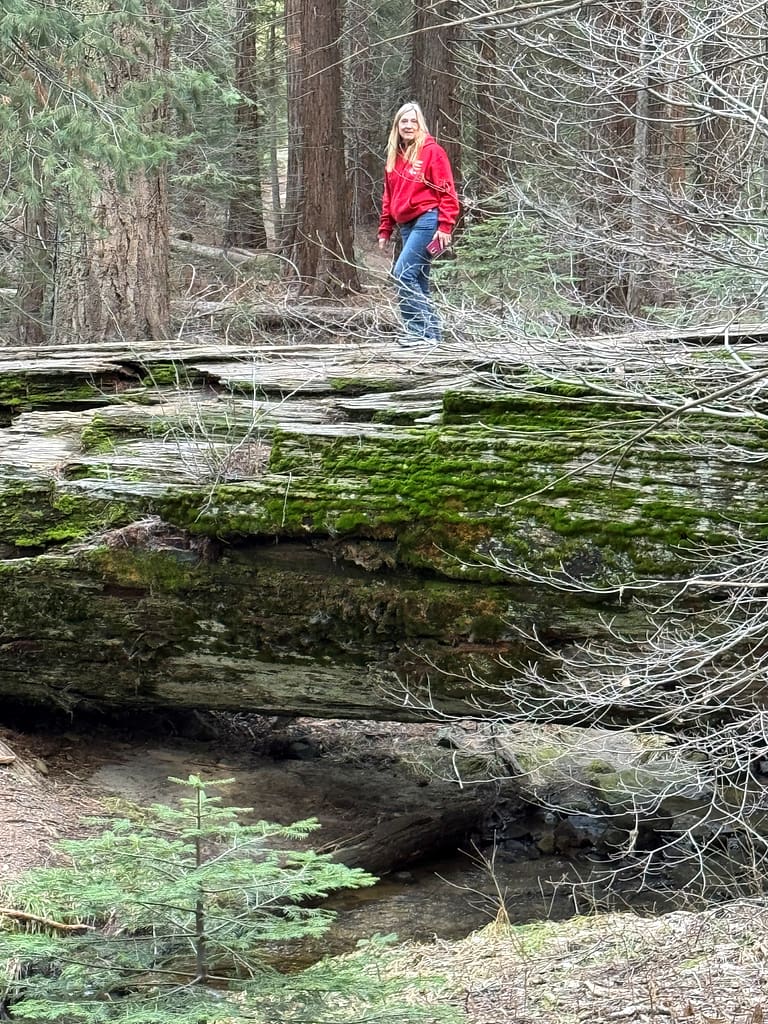 Walking on dead Tree, Sequoia National Park