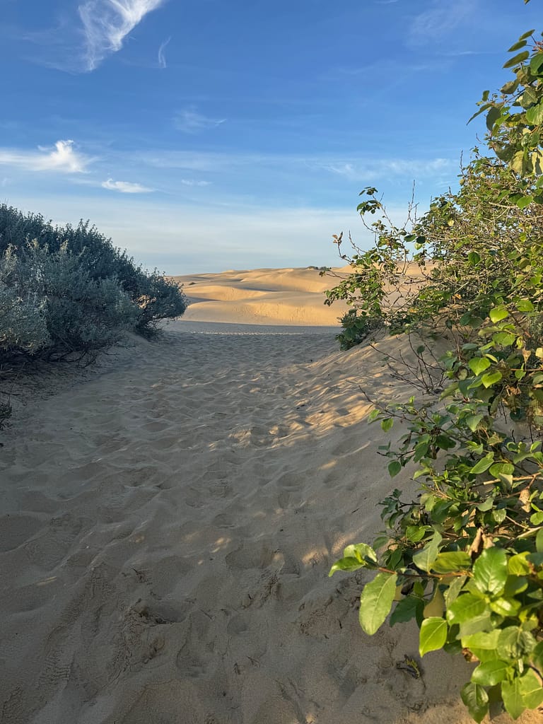 Entrance to Sand Dunes at Pismo beach