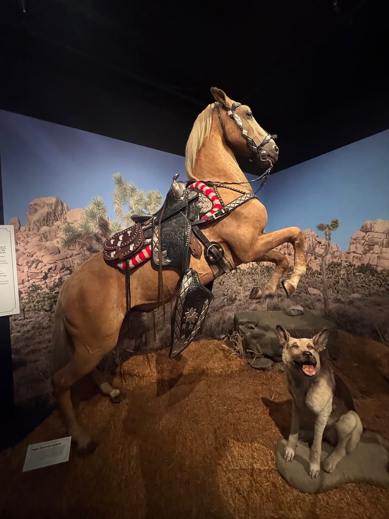 Roy Rogers' horse, Trigger