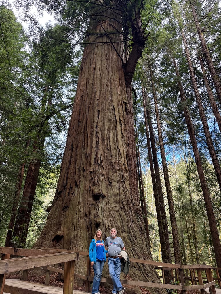 Benjamin Tree, Trees of Mystery California