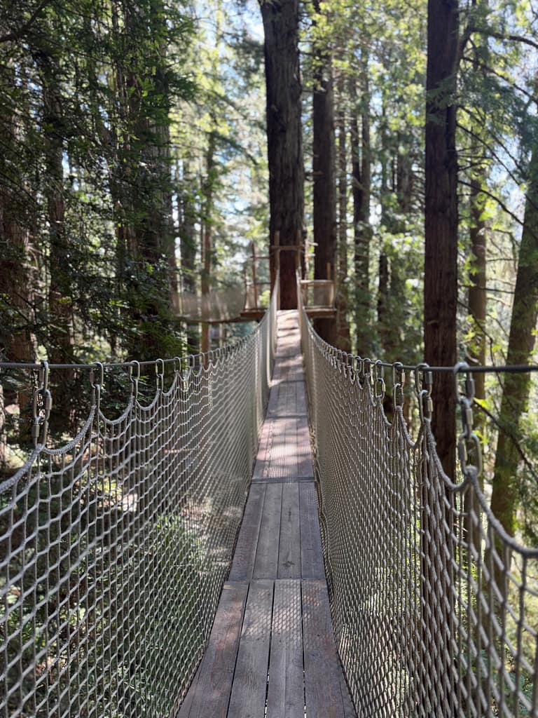Sky walk Trees of Mystery California